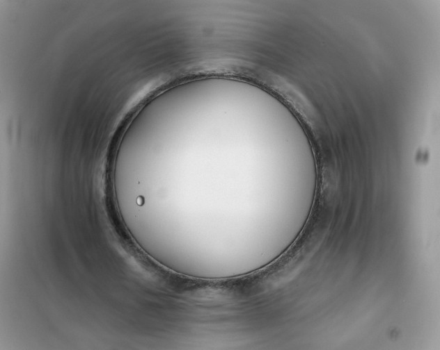 X0000102040578200808011512