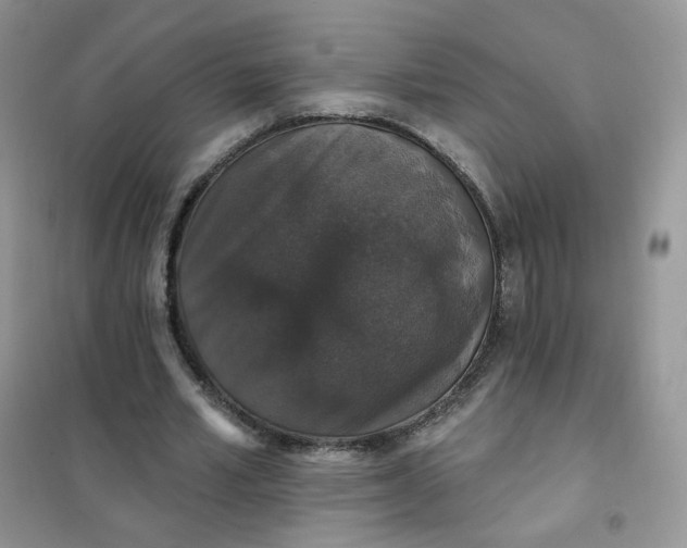 X0000102040581200808011512