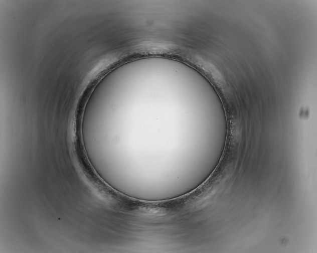 X0000102040582200808011512