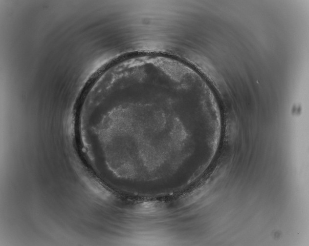 X0000102040584200808011512