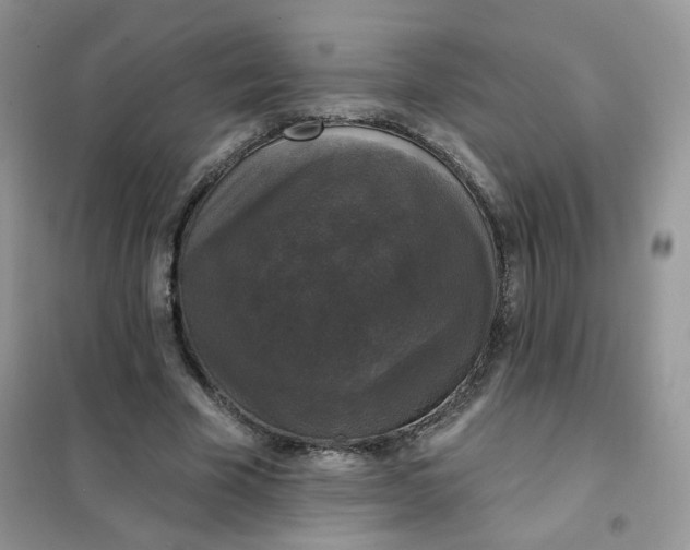 X0000102040585200808011512