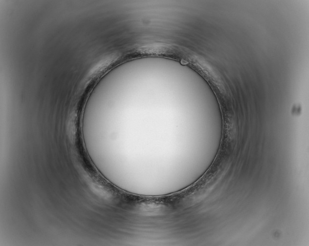 X0000102040586200808011512