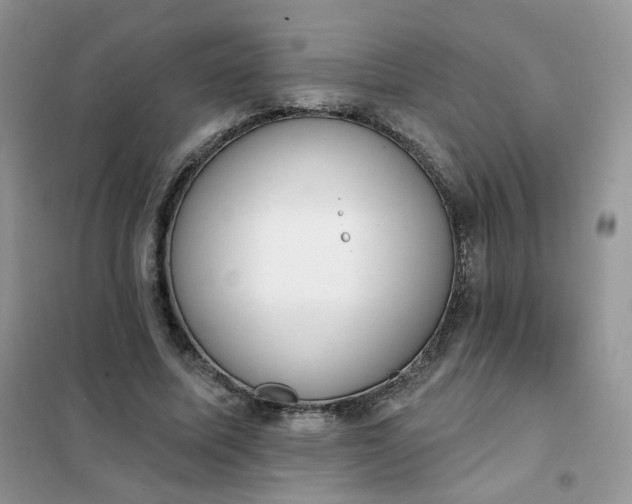 X0000102040587200808011512