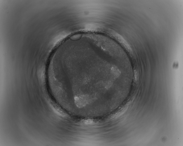 X0000102040588200808011512