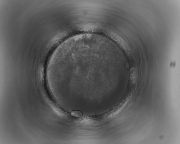 X0000102040589200808011512