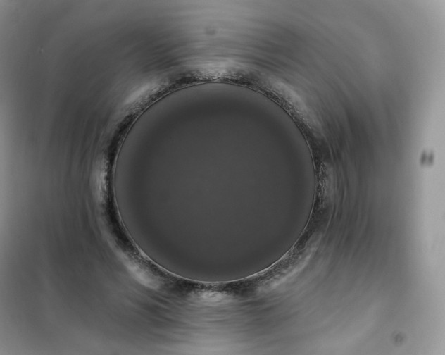 X0000102040590200808011512