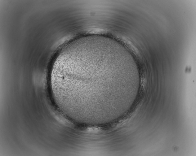 X0000102040591200808011512