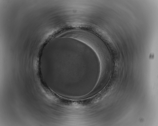 X0000102040592200808011512