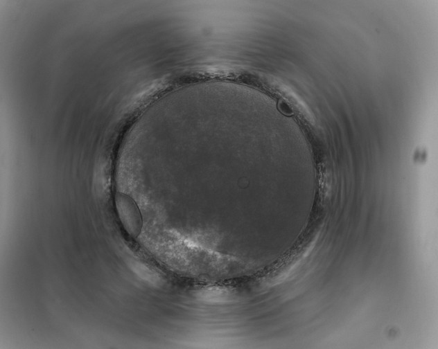 X0000102040593200808011512