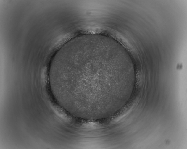 X0000102040594200808011512