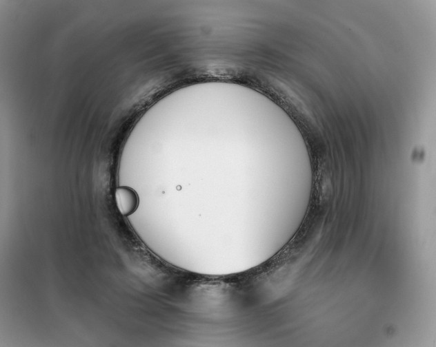 X0000102040595200808011512