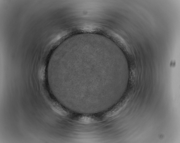 X0000102040596200808011512