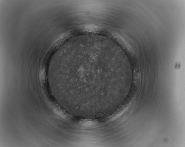 X0000102040597200808011512