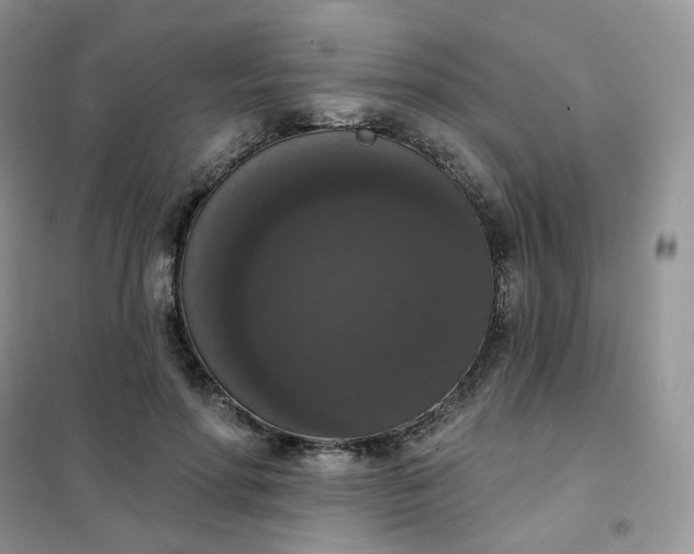 X0000102040598200808011512