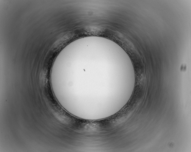 X0000102040599200808011512