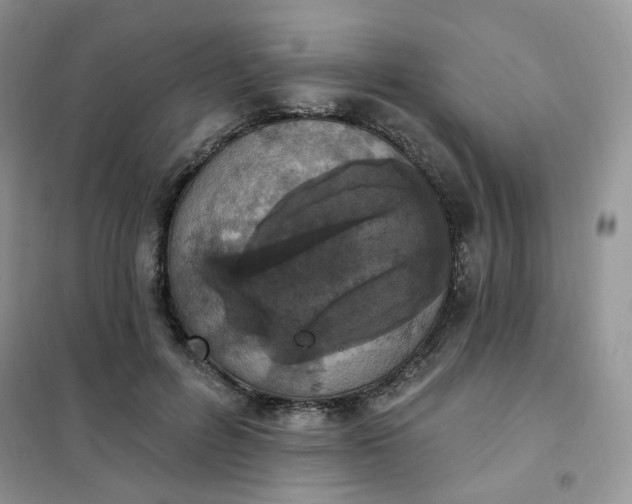 X0000102040600200808011512