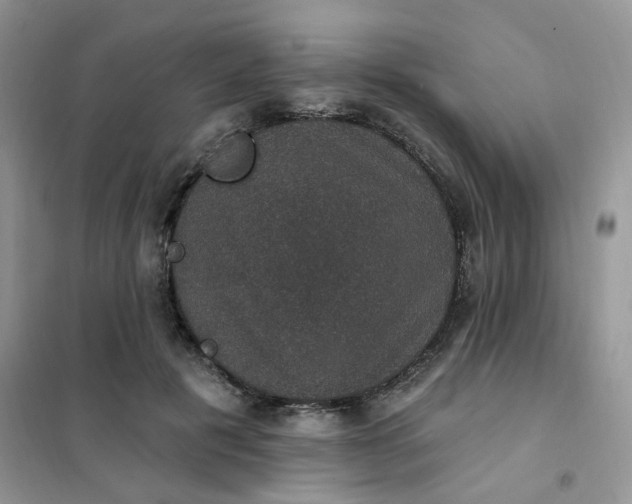 X0000102040601200808011512