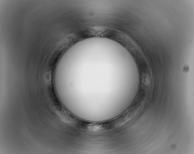 X0000102040602200808011512