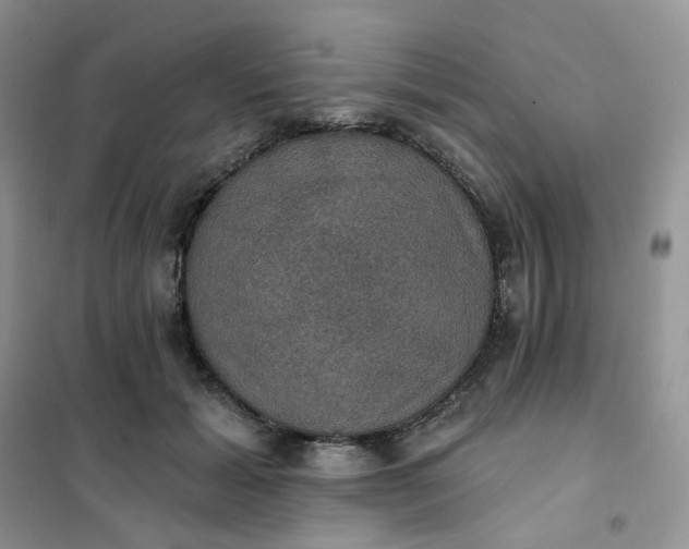 X0000102040605200808011512