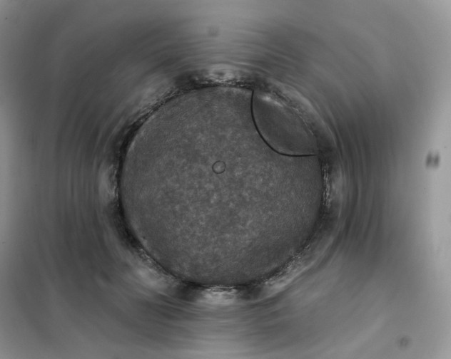 X0000102040606200808011512