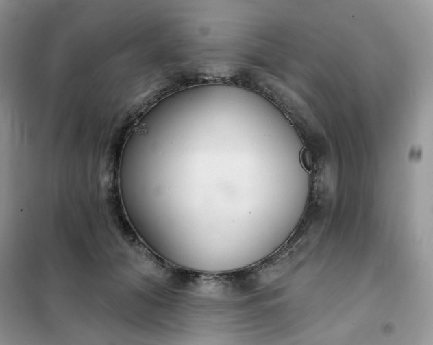 X0000102040608200808011512