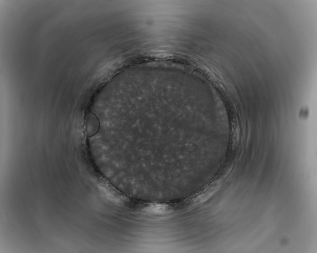 X0000102040609200808011512