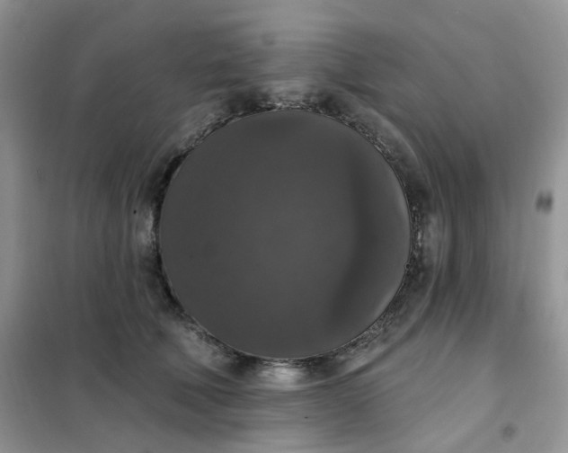 X0000102040610200808011512