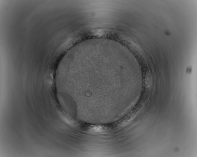 X0000102040611200808011512