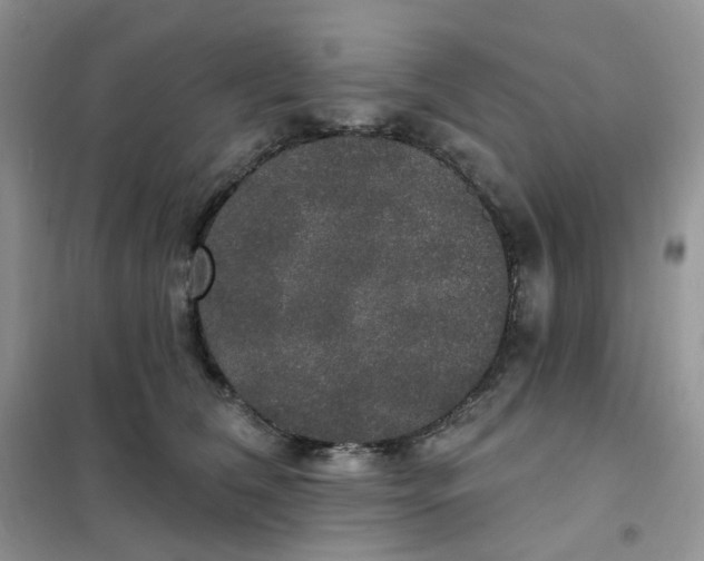 X0000102040612200808011512