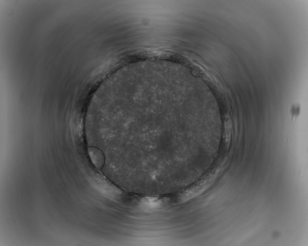 X0000102040613200808011512