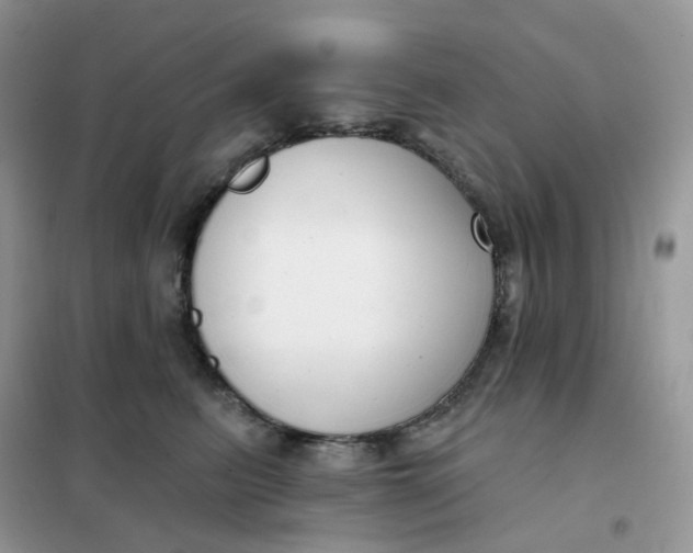 X0000102040615200808011512