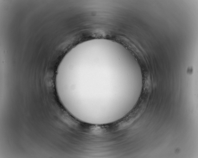 X0000102040616200808011512