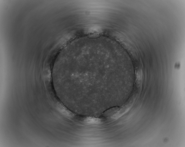 X0000102040617200808011512