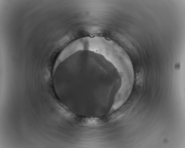 X0000102040618200808011512