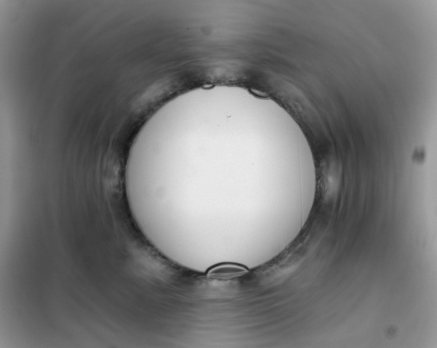 X0000102040619200808011512