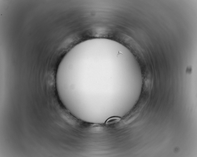 X0000102040620200808011512