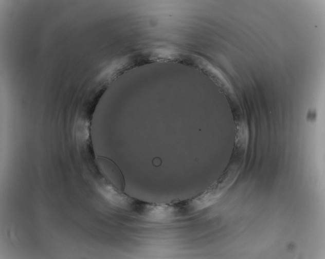 X0000102040621200808011512