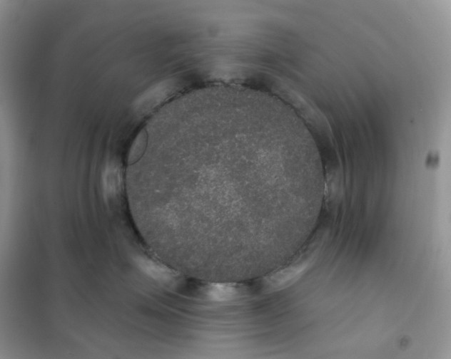 X0000102040623200808011512