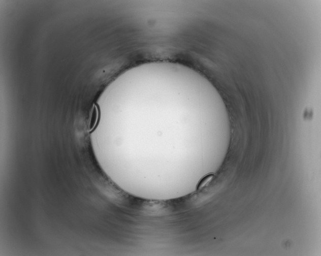 X0000102040624200808011511