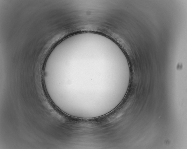 X0000102040625200808011511