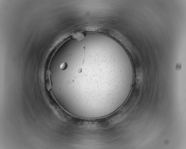 X0000102040626200808011511