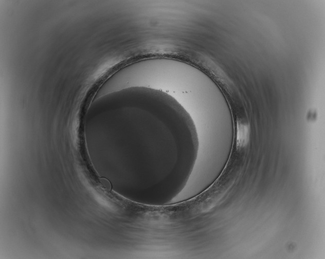 X0000102040627200808011511