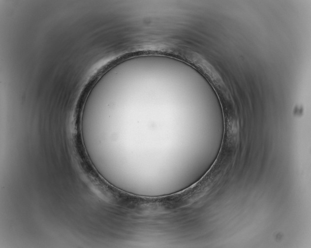 X0000102040628200808011511