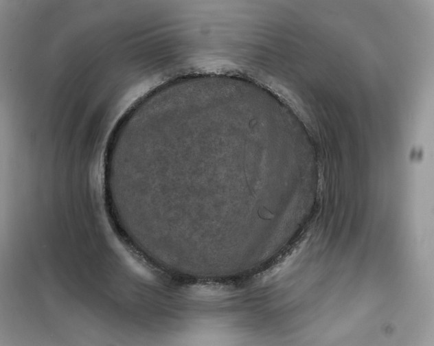 X0000102040630200808011511