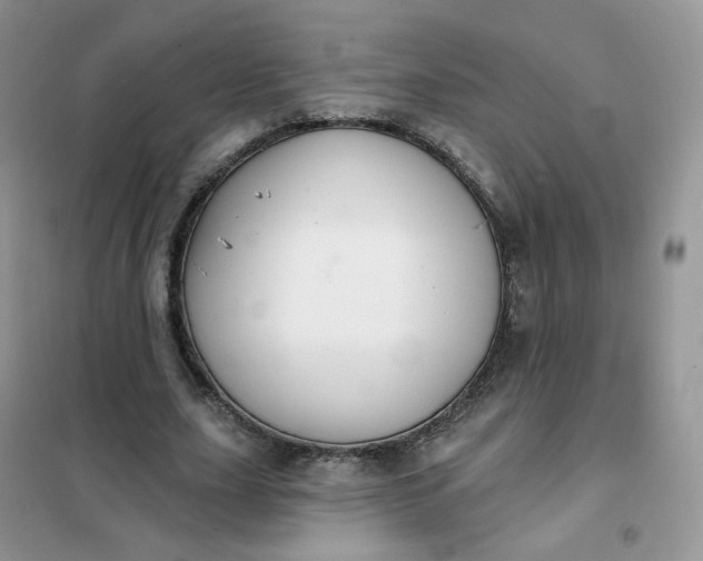 X0000102040631200808011511