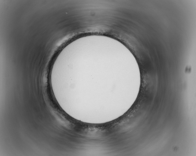 X0000102040632200808011511