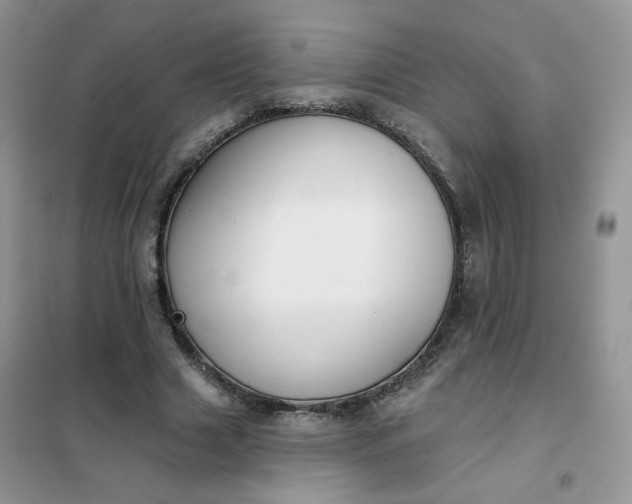 X0000102040633200808011511