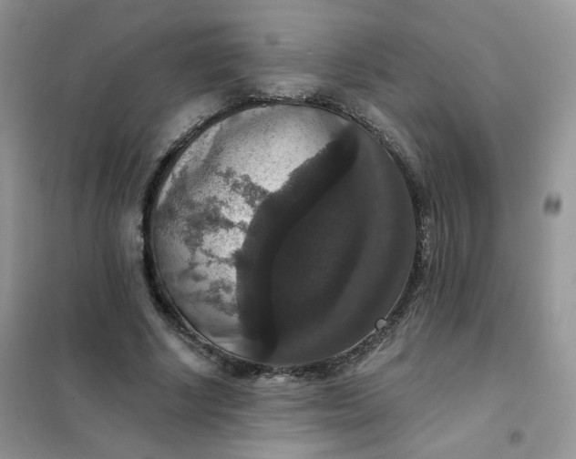 X0000102040634200808011511