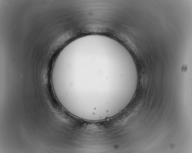 X0000102040635200808011511