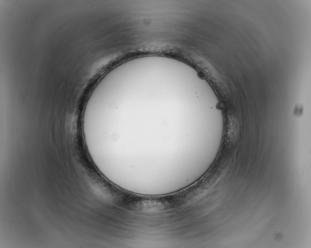 X0000102040636200808011511